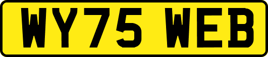 WY75WEB