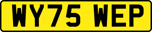 WY75WEP