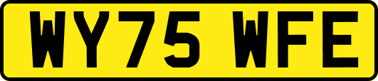 WY75WFE