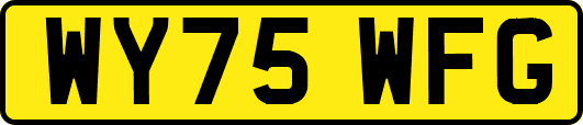 WY75WFG