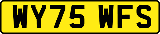 WY75WFS