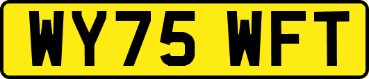 WY75WFT