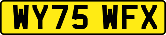 WY75WFX