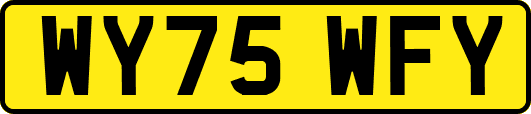 WY75WFY