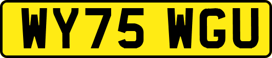 WY75WGU