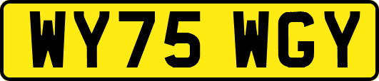 WY75WGY
