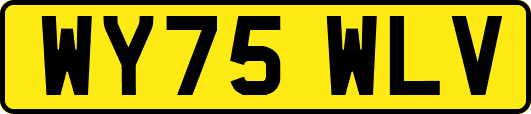 WY75WLV