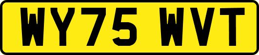 WY75WVT