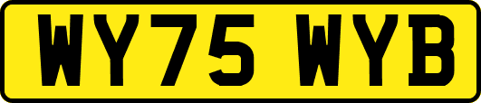 WY75WYB