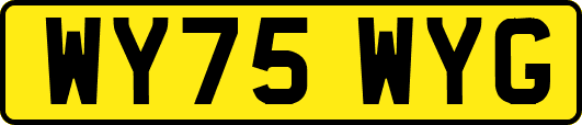 WY75WYG