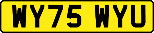 WY75WYU