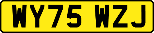 WY75WZJ