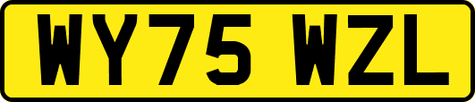 WY75WZL