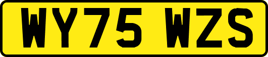 WY75WZS