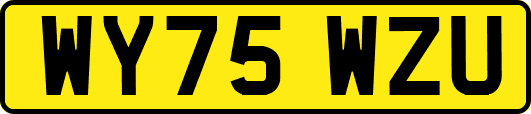 WY75WZU