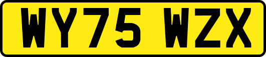WY75WZX