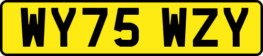 WY75WZY