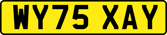 WY75XAY