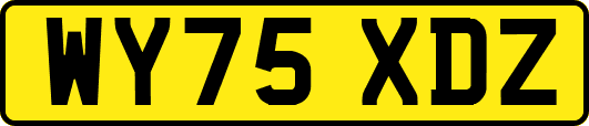 WY75XDZ