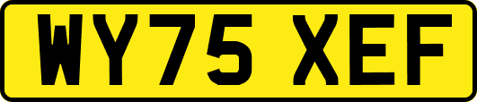 WY75XEF