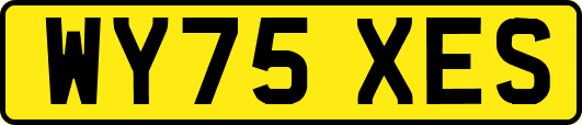 WY75XES