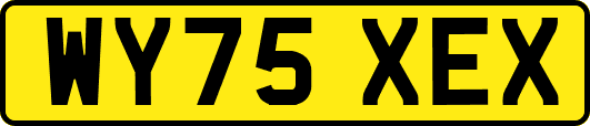 WY75XEX