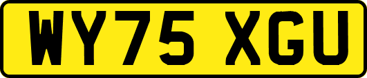 WY75XGU