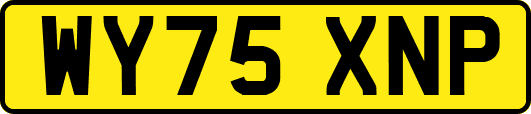 WY75XNP