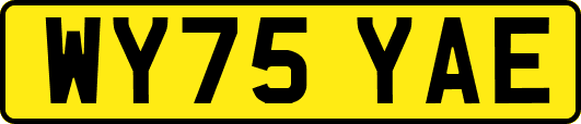 WY75YAE