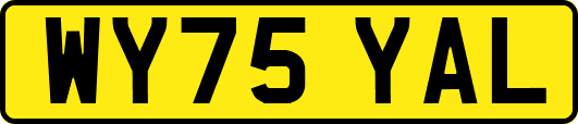 WY75YAL