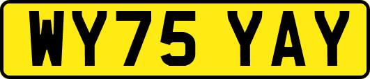 WY75YAY