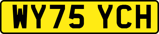 WY75YCH