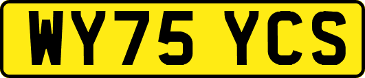 WY75YCS