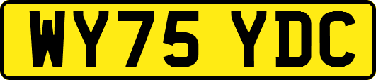 WY75YDC