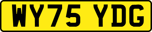 WY75YDG
