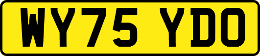 WY75YDO