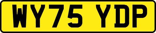 WY75YDP