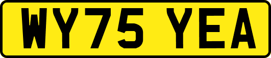 WY75YEA
