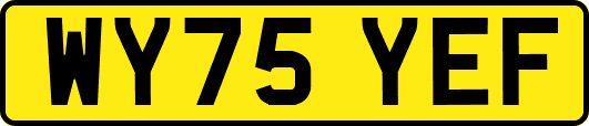 WY75YEF