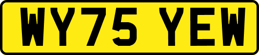 WY75YEW