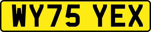 WY75YEX