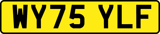 WY75YLF