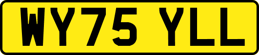 WY75YLL