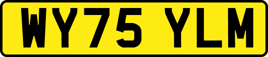 WY75YLM