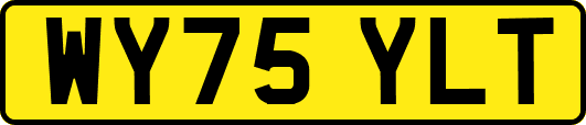 WY75YLT