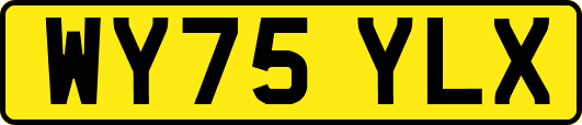 WY75YLX