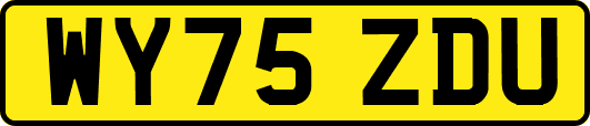 WY75ZDU
