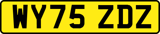 WY75ZDZ