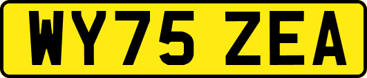 WY75ZEA