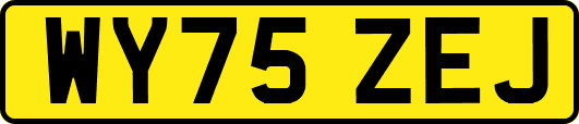 WY75ZEJ